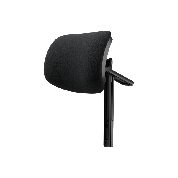 SE-Headrest Assembly
