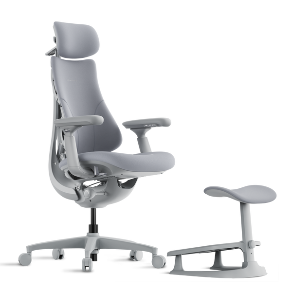 LiberNovo Omni Dynamic Ergonomic Chair

