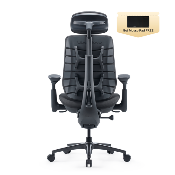 LiberNovo Maxis Dynamic Ergonomic Chair
