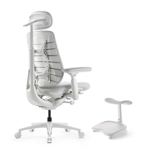LiberNovo Maxis Dynamic Ergonomic Chair
