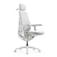 LiberNovo Maxis Dynamic Ergonomic Chair

