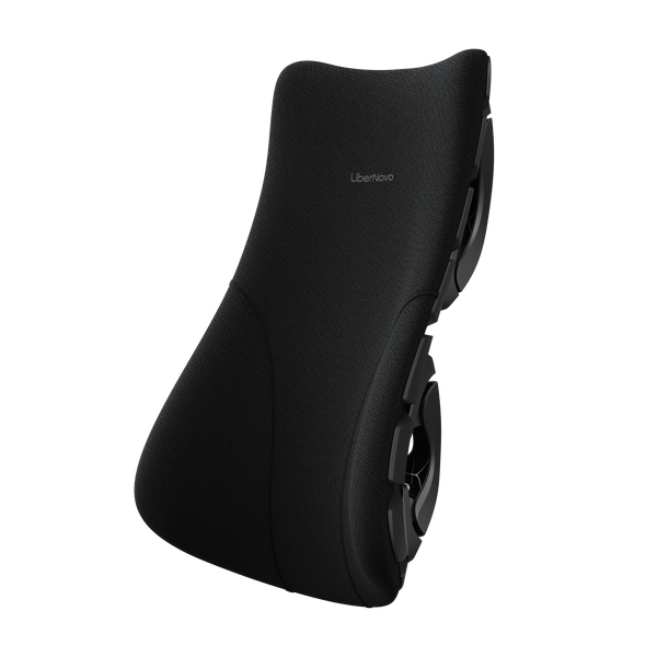 SE-Backrest Assembly