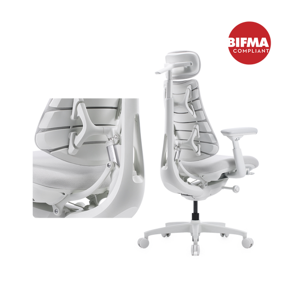 LiberNovo Omni and Omni Gen Dynamic Ergonomic Chair